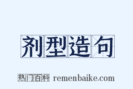 剂型造句是什么意思的图片